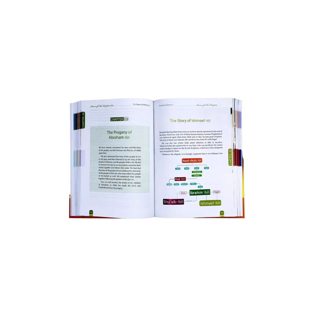 Stories Of The Prophets 17X24 Color Edition (English)