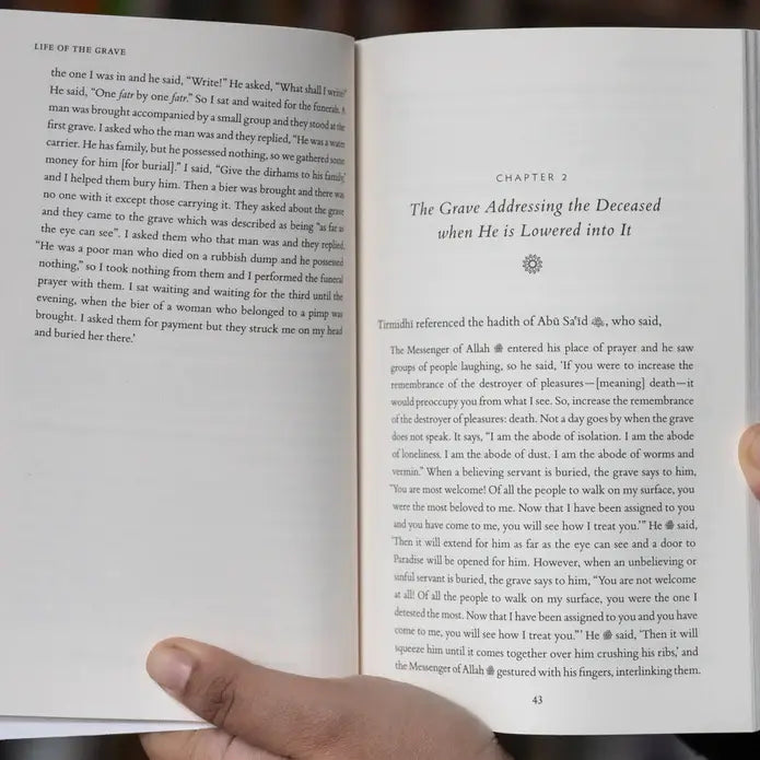 Life of the Grave: Its Delights and Horrors Until Resurrection