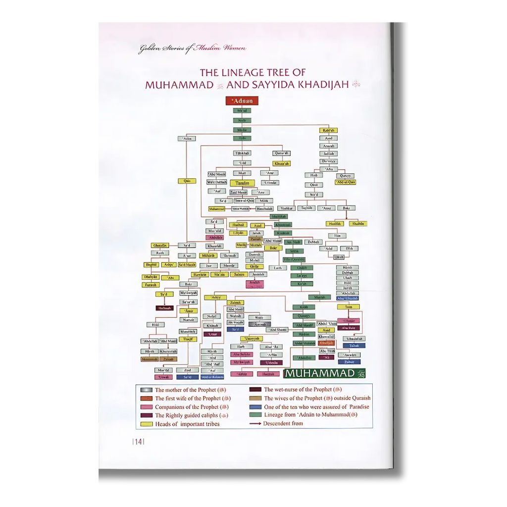 Golden Stories of Muslim Women - Abdul Malik Mujahid (English)