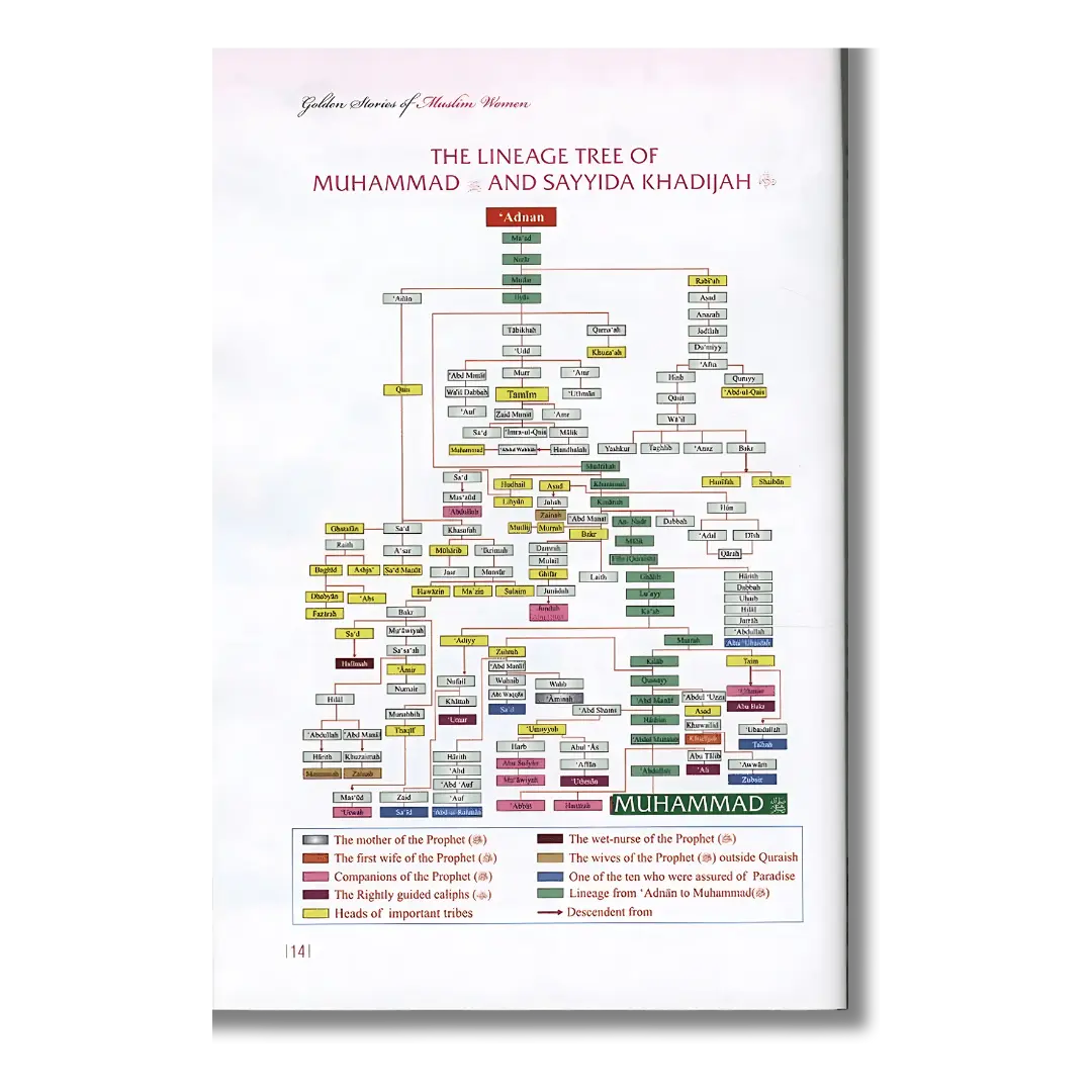 Golden Stories of Muslim Women - Abdul Malik Mujahid (English)