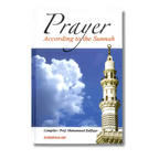 Prayer according to Sunnah - Prof. Zukfikhar (English)
