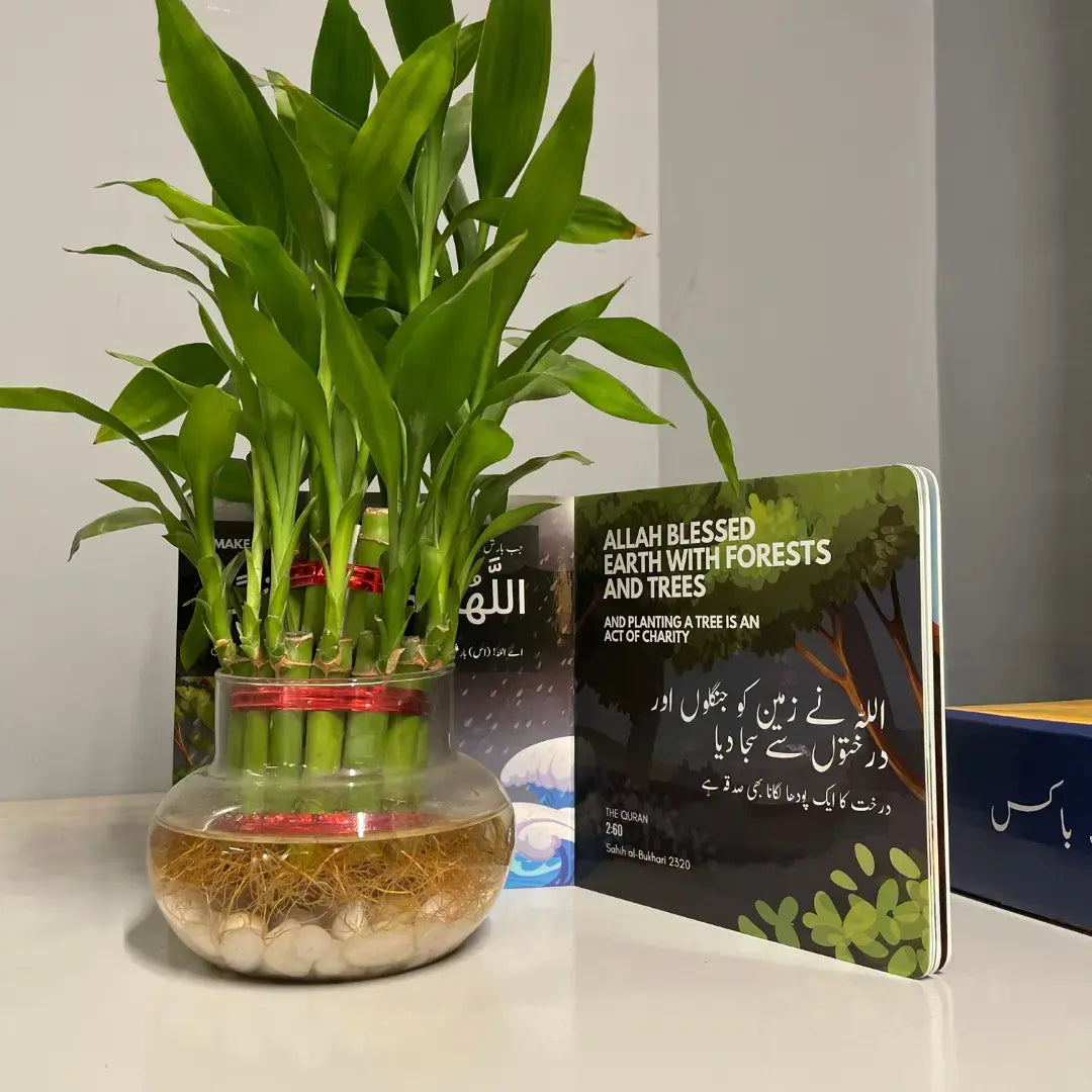 SeeratBox - Seerah-inspired bilingual learning box