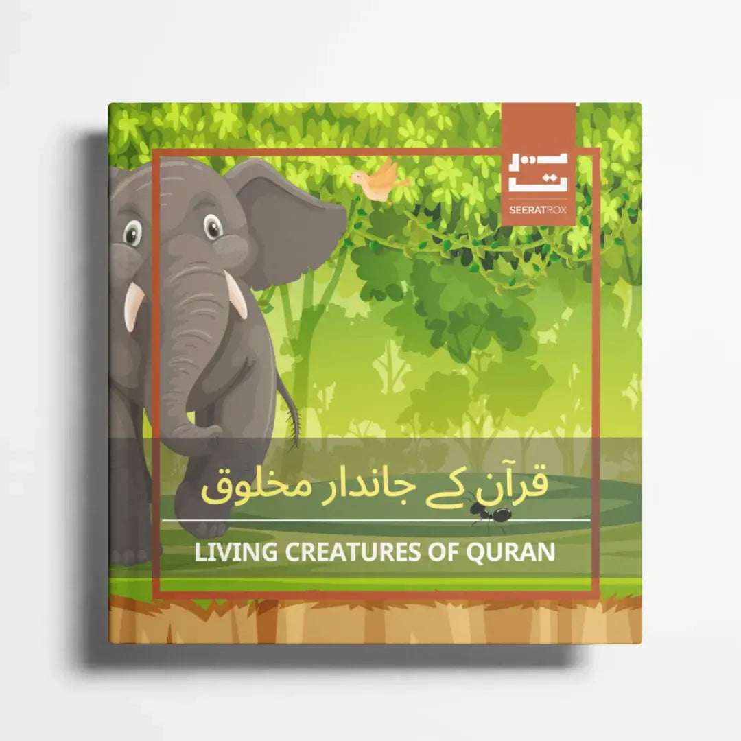 SeeratBox - Seerah-inspired bilingual learning box