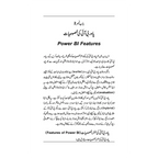Power BI ka Taruf - پاور بی آئی کا تعارف