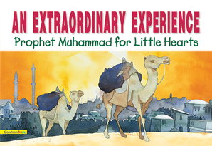 An Extraordinary Experience — cover