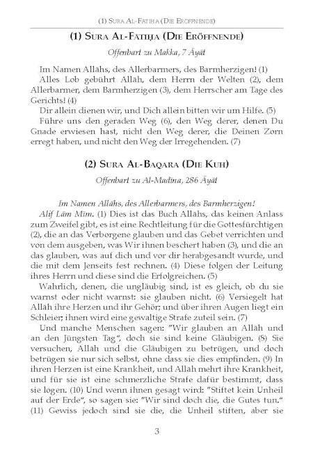 German Quran - Der Koran - TR. A. M. Ibn A. Rassoul — page preview 2