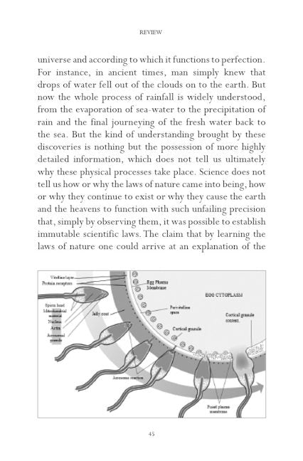God Arises — page preview 4