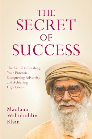 The Secret of Success — cover