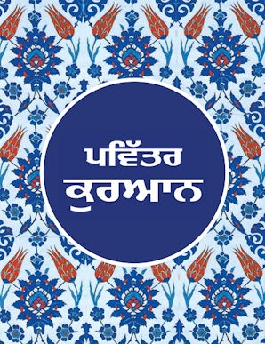Punjabi Quran - TR. Dr. Muhamad Habib, Bhai Harpreet Singh — cover